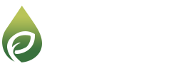 Even Oil FZE